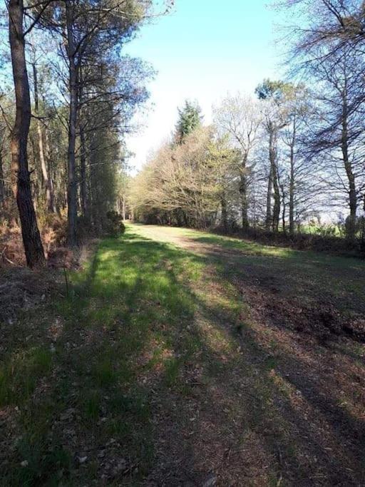 Mobil Home Au Coeur De Broceliande Paimpont Zewnętrze zdjęcie